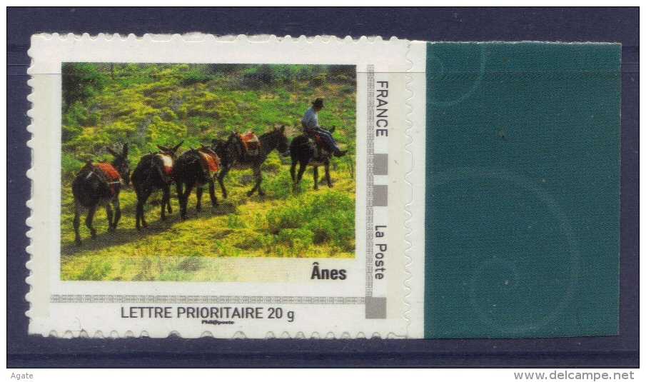 Corse Comme J'aime : Anes (collector Régions 2009) Neuf** - Collectors