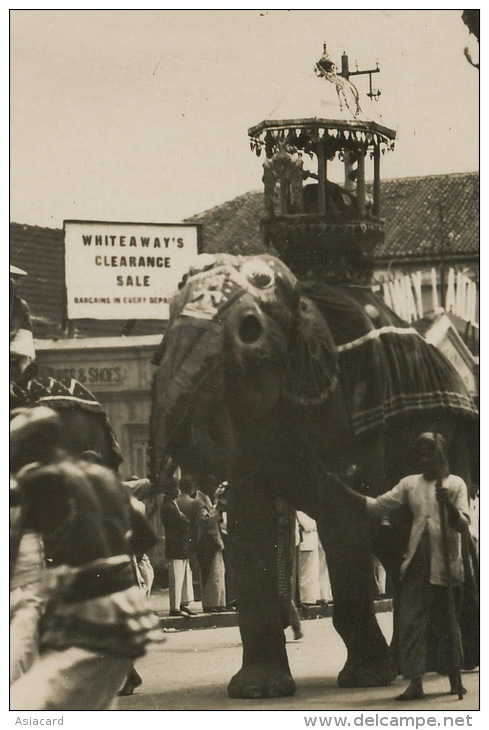 India Real Photo Elephant Procession - Sri Lanka (Ceylon)