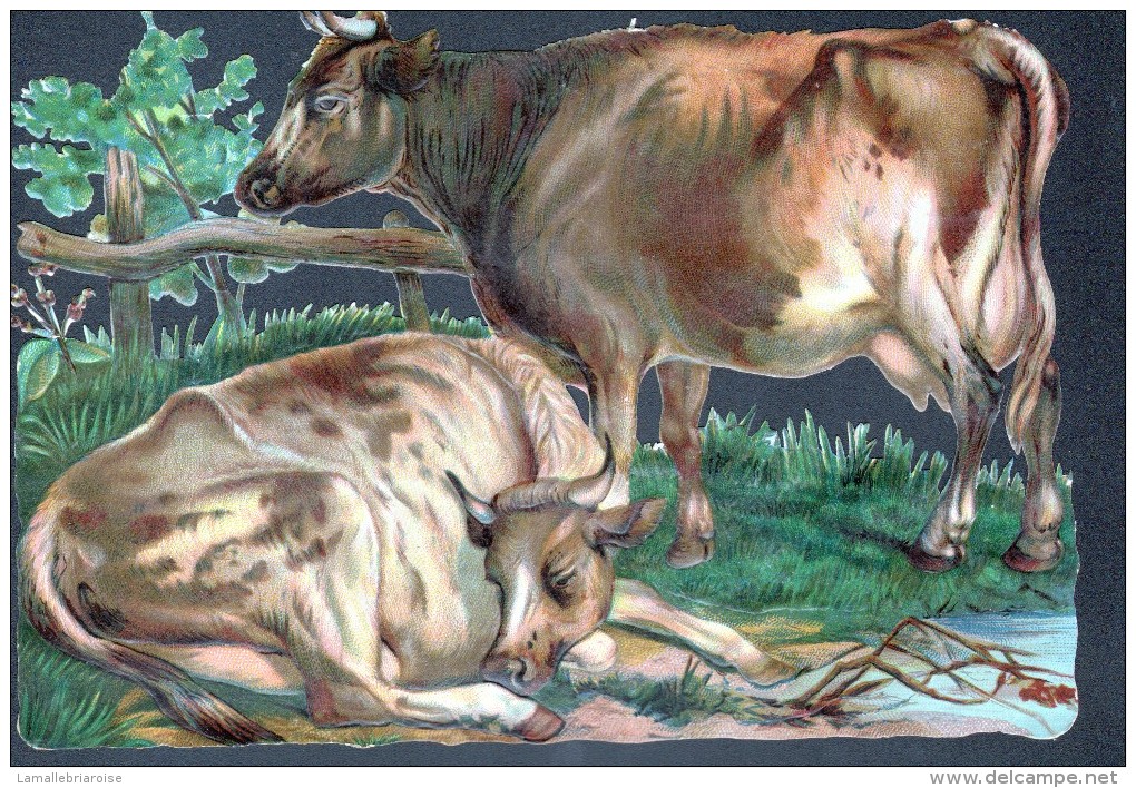 CHROMO DECOUPIS - VACHES - FORMAT: 20,5 X 16,5 Cm - Animaux