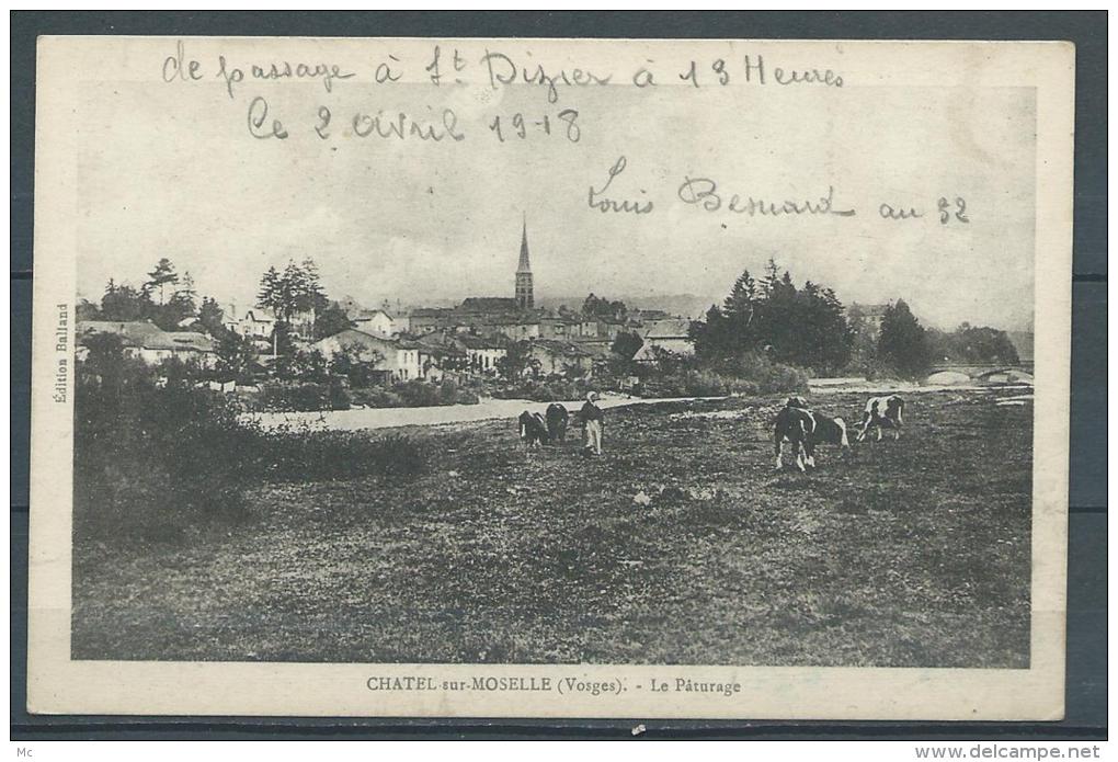 88 - Chatel-sur-Moselle (vosges) - Le Paturage - Chatel Sur Moselle