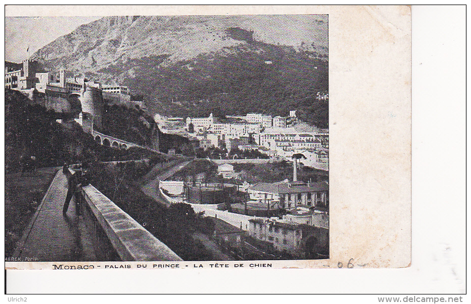 CPA Monaco - Palais Du Prince - La Tête De Chien (6868) - Fürstenpalast