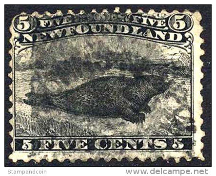 Newfoundland #26 Used 5c Black Harp Seal From 1868 - 1857-1861