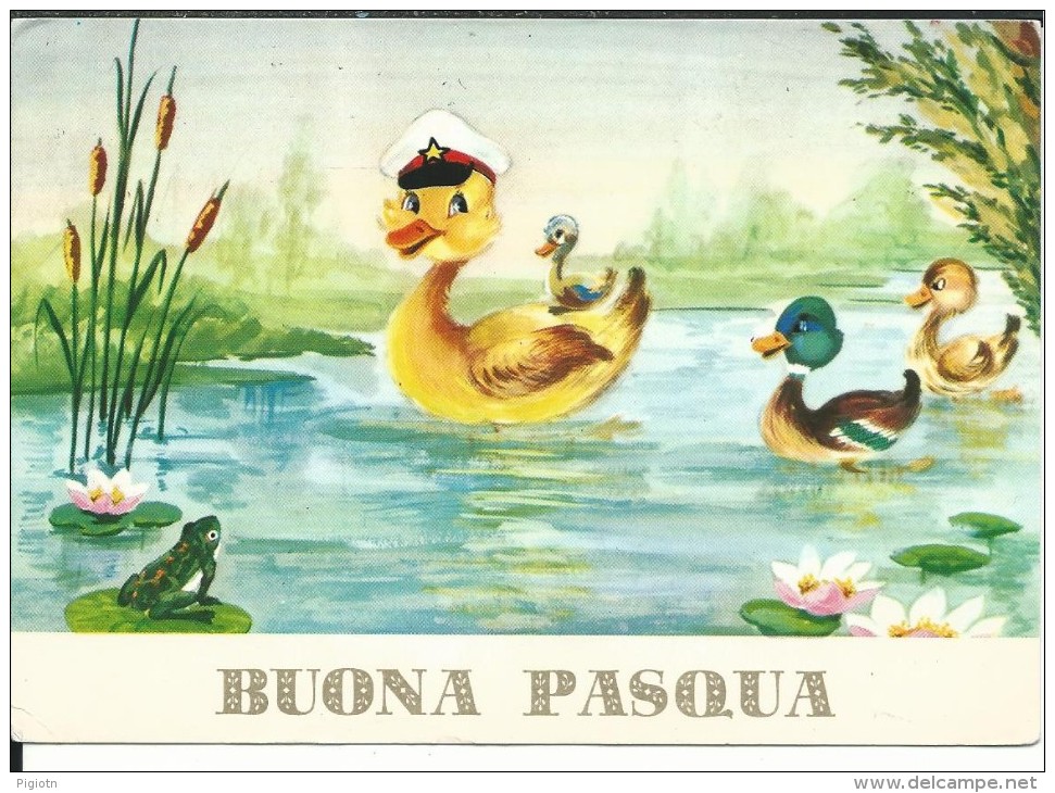 BP272 - BUONA PASQUA  - ANATROCCOLI -  F.G.  VIAGGIATA 1970 - Pasqua