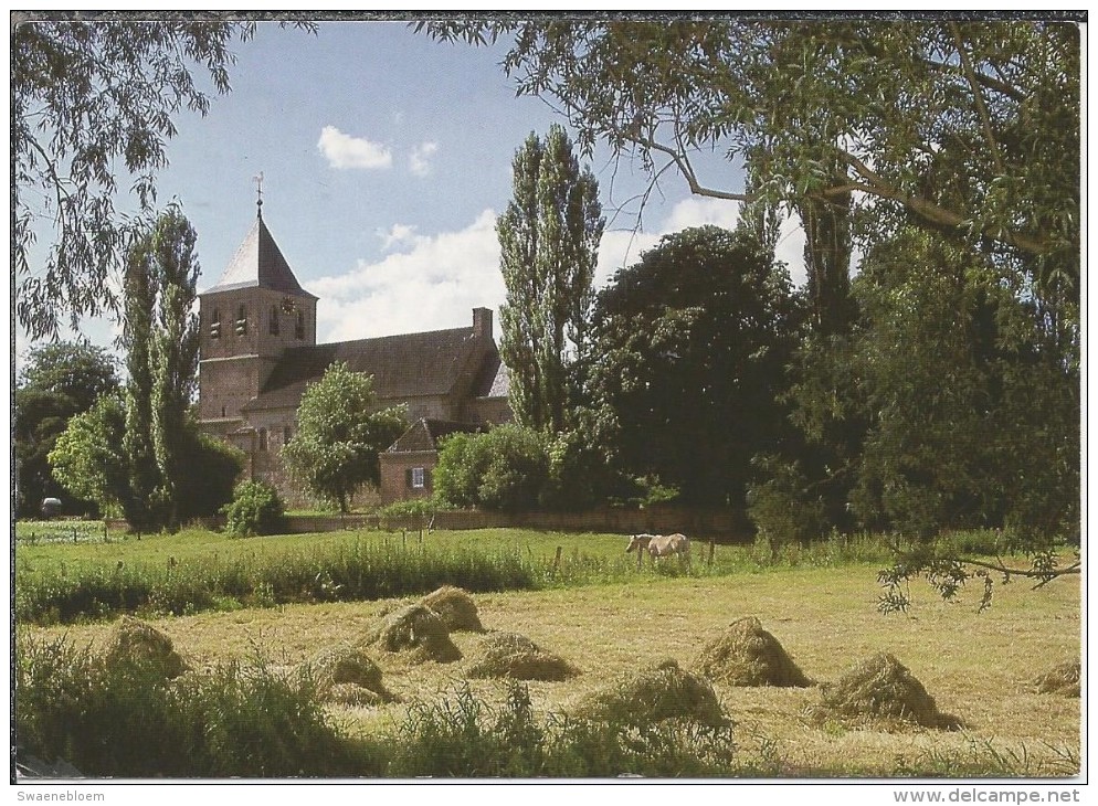 NL.- Oosterbeek. Nederlands Hervormde Kerk. 2 Scans - Oosterbeek