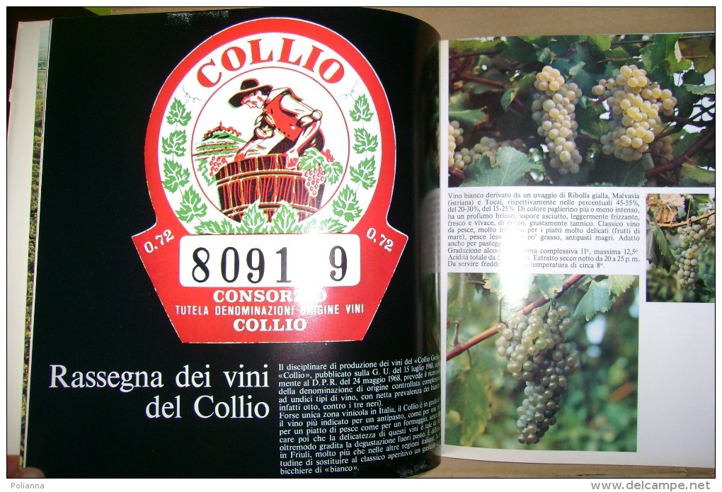 PCG/46 I VINI DEL COLLIO Friuli Venezia Giulia E.R.S.A.1972 - House & Kitchen