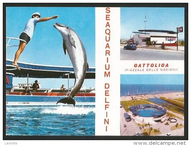 CATTOLICA Seaquarium Delfin Emiglia-Romagna Rimini - Rimini