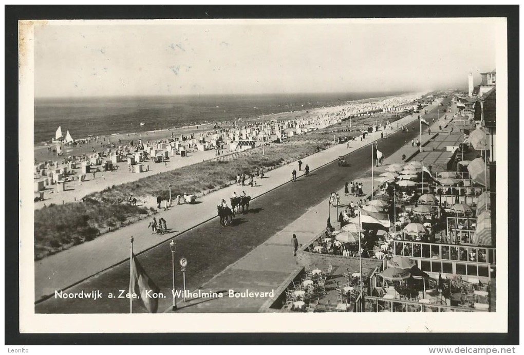 NORDWIJK Aan ZEE Koningin Wilhelmina Boulevard 1953 - Noordwijk (aan Zee)