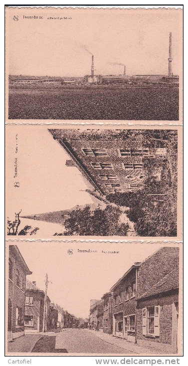 TESSENDERLO-LOTJE-3 KAARTEN-FABRIEK+PASTORIE+ DIESTERSESTRAAT-DIEST-UITGAVE-ADELHOF-NIET VERSTUURD-ZIE 2 SCANS-MOOI - Tessenderlo