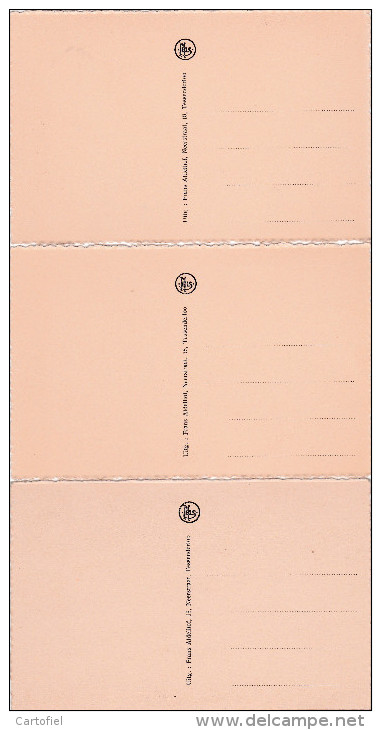 TESSENDERLO-LOTJE-3 KAARTEN-FABRIEK+PASTORIE+ DIESTERSESTRAAT-DIEST-UITGAVE-ADELHOF-NIET VERSTUURD-ZIE 2 SCANS-MOOI - Tessenderlo