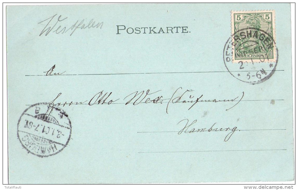 PETERSHAGEN Weser Mondschein Taubstummen Anstalt Jugendstil Die Untere Poststrasse 2.1.1901 Gelaufen - Petershagen