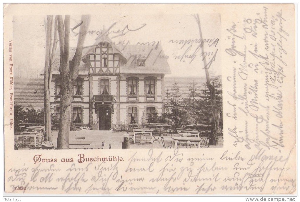 Gruss Aus Buschmühle Frankfurt Oder 23.8.1901 Gelaufen - Frankfurt A. D. Oder