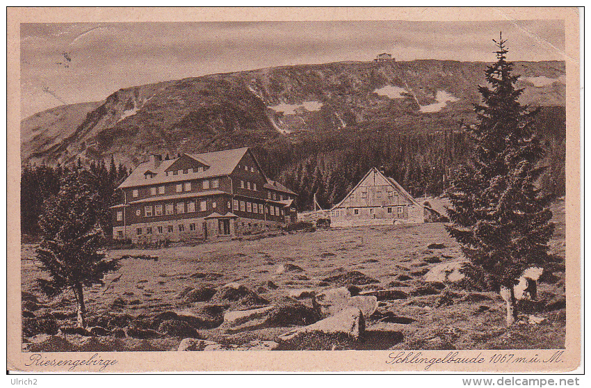 AK Riesengebirge - Schlingelbaude - 1927 (7027) - Schlesien
