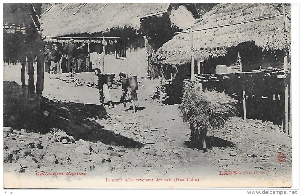 LAOS - Femmes Méos Revenant Des Raïs (Hua Pahn) - Laos