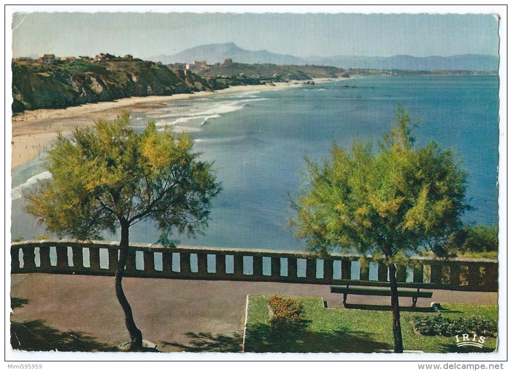 3300 - BIARRITZ (64) - La Côte Des Basques - CPSM 1964 - Scan Recto-verso - Biarritz