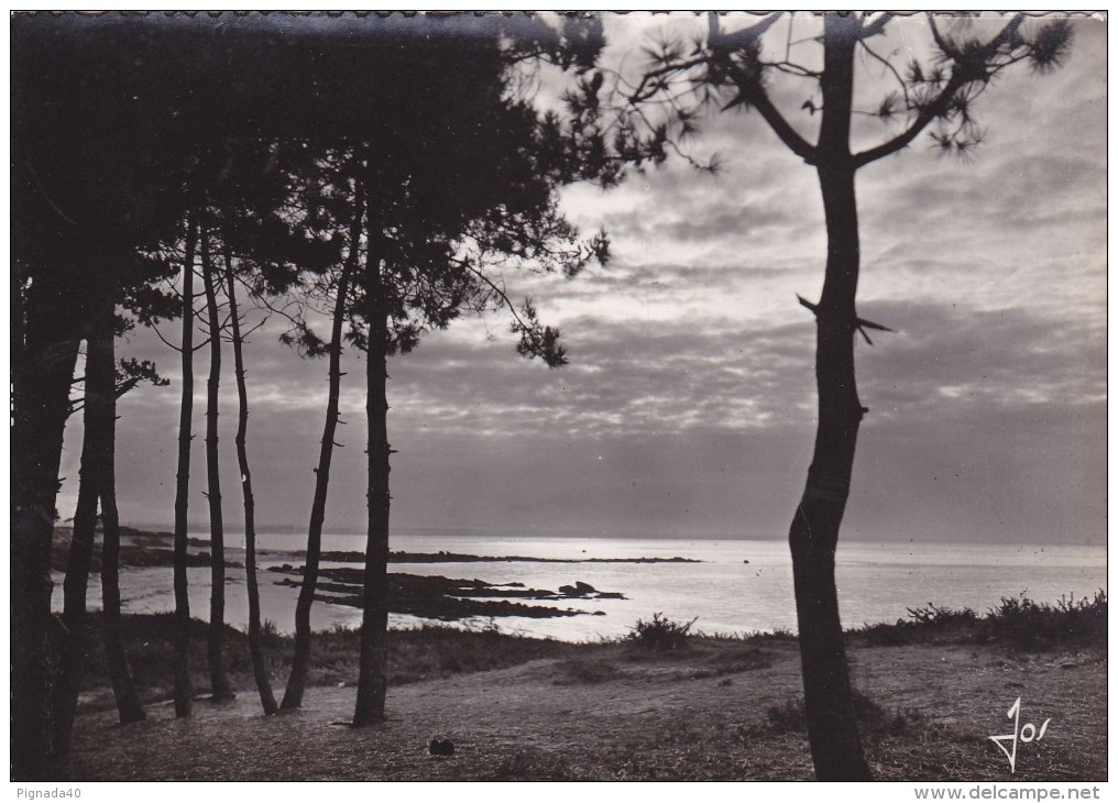 Cp , 29 , BEG-MEIL , Lever De Soleil Sur La Grande Plage - Beg Meil