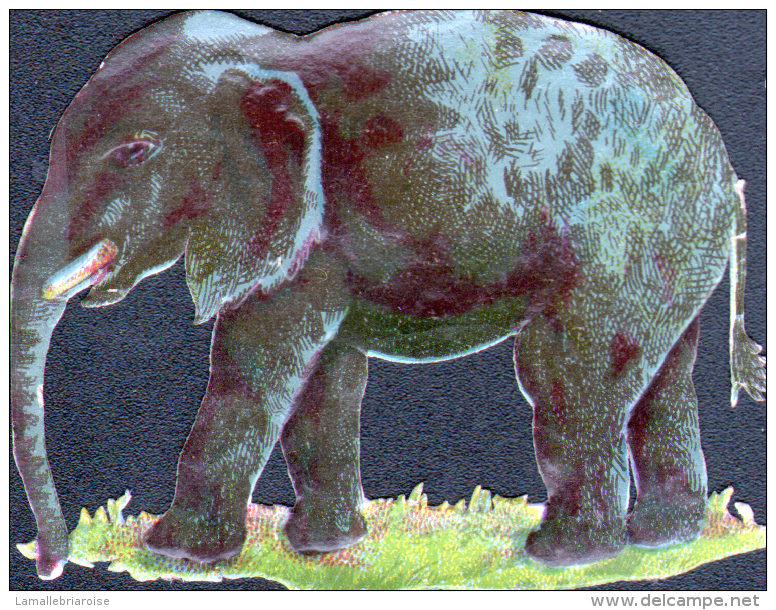 4 CHROMOS REPRESENTANT DES ELEPHANTS - FORMAT 6 X 5 Cm - Animals