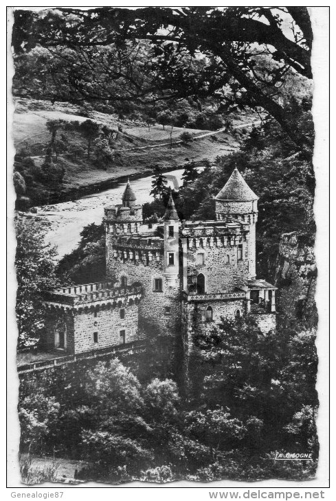 42 - ENVIRONS DE ROANNE - CHATEAU DE LA ROCHE - Roanne