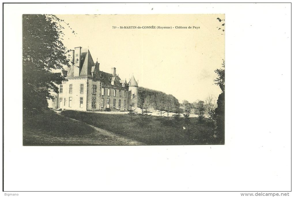 Saint Martin De Connee Château De Puyz - Autres & Non Classés