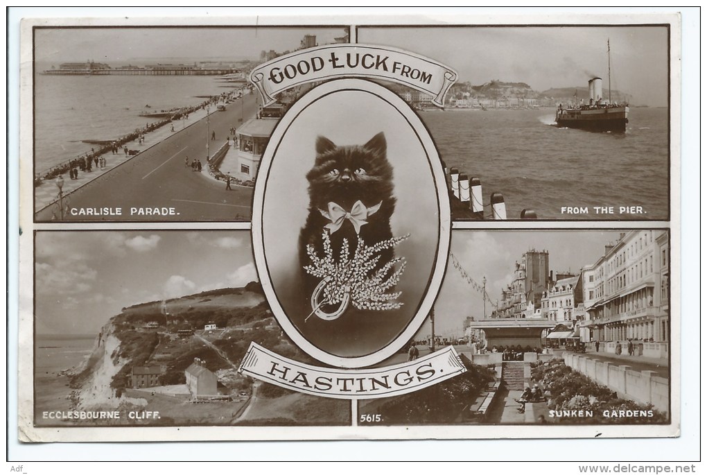 Lamo@ CPSM GOOD LUCK FROM HASTINGS, CARLISLE PARADE, FROM THE PIER, CAT, Format 9cm Sur 14cm Environ, SUSSEX, ANGLETERRE - Hastings