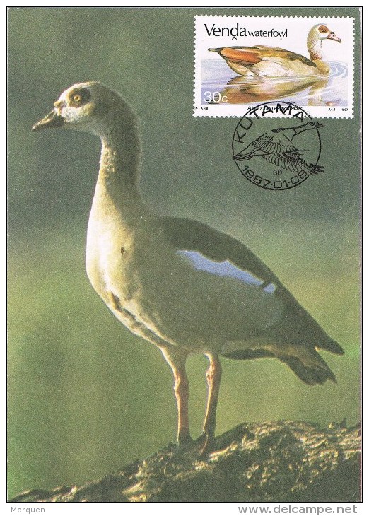 9663. Tarjeta Maxima KUTAMA (venda) 1987. Aves - Venda