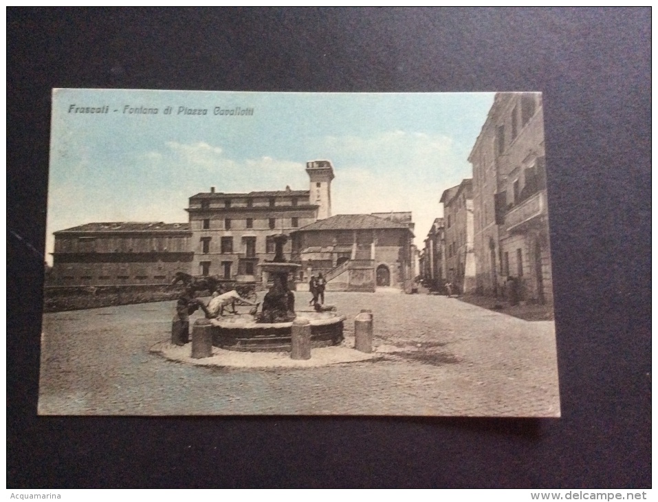 FRASCATI - Fontana Di Piazza Cavallotti, Animata - Cartolina FP V 1919 - Altri & Non Classificati