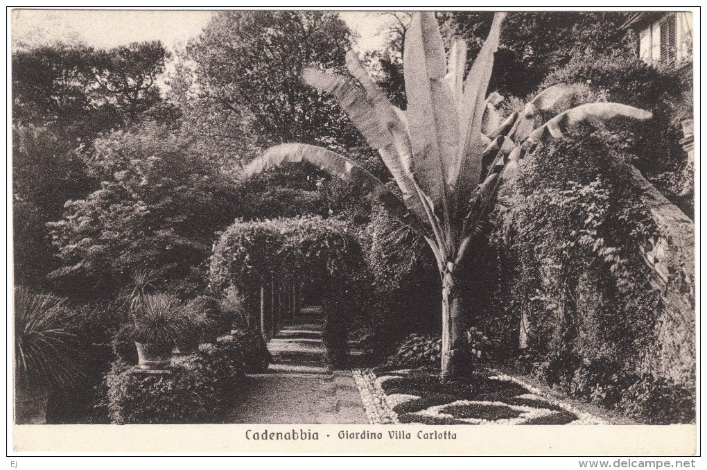 Cadenabbia - Giardino Villa Carlotta Black & White Postcard - Como