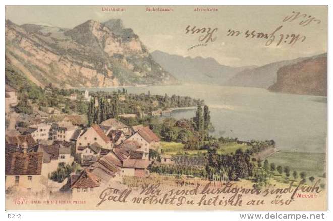 WEESEN-VUE GENERALE ET LAC-DOS UNIQUE-7.07.1902-TTB - Weesen