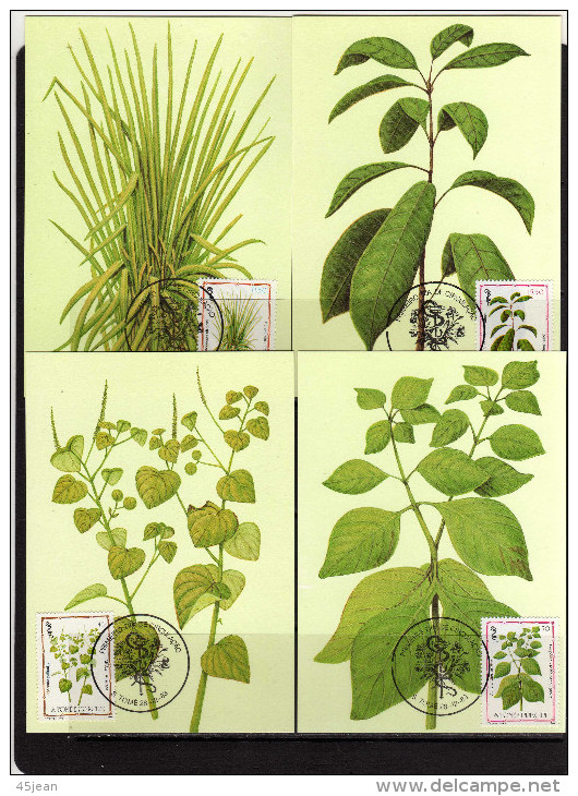 St Tome & Principe: 1983 Très Belle Série De 8 Cartes Maximum "plantes Médicinales" - Plantes Médicinales