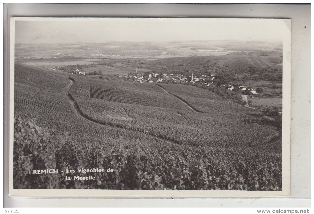 L 5500 REMICH, Weinberge An Der Mosel - Remich