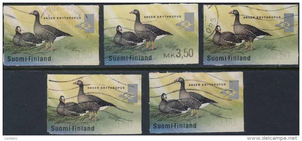 Finlande Distributeur 1999. ~ D 27 Par 5 - Oie Naine - Automatenmarken [ATM]