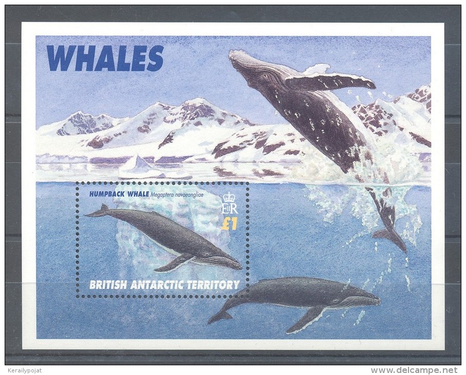 British Antarctic Territory - 1996 Whales Block MNH__(TH-10721) - Nuevos