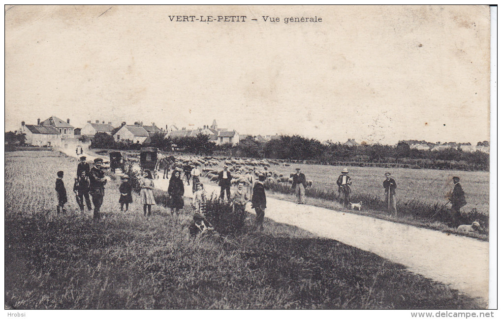 VERT LE PETIT,  Vue Générale, Moutons, Forte Animation En Avant Plan, écrite - Vert-le-Petit