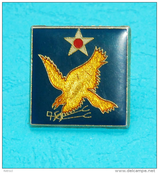 WWII USAAF 2ND AIR FORCE PIN - Armée De L'air