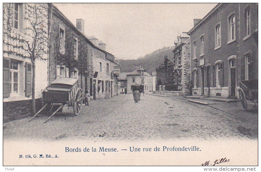 Profondeville 43: Une Rue De Profondeville 1904 - Profondeville