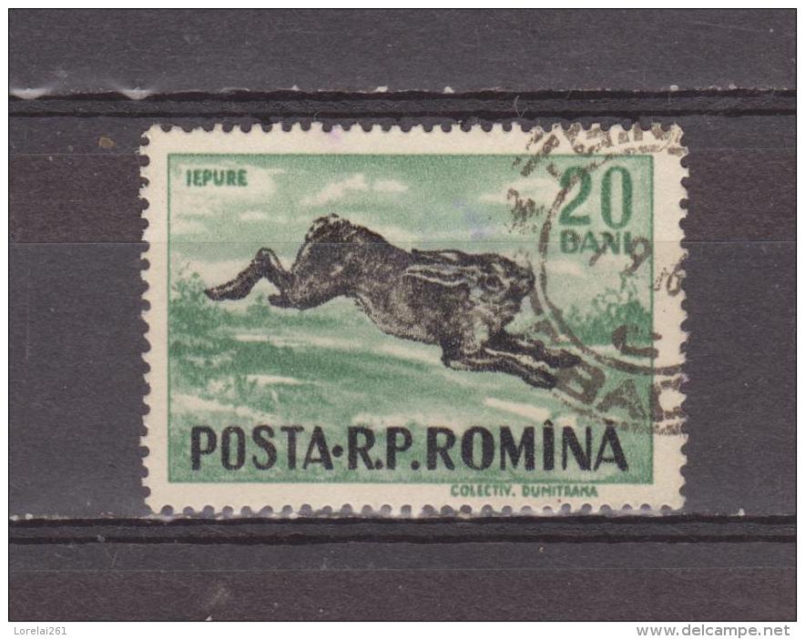 1956, GIBIERS,  YV No 1438 Et MI No1565  Lievre / Lepus Europaeus - Gebraucht