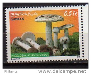 2012 Spain - Mushrooms - 1v - Paper - MNH** - Pilze