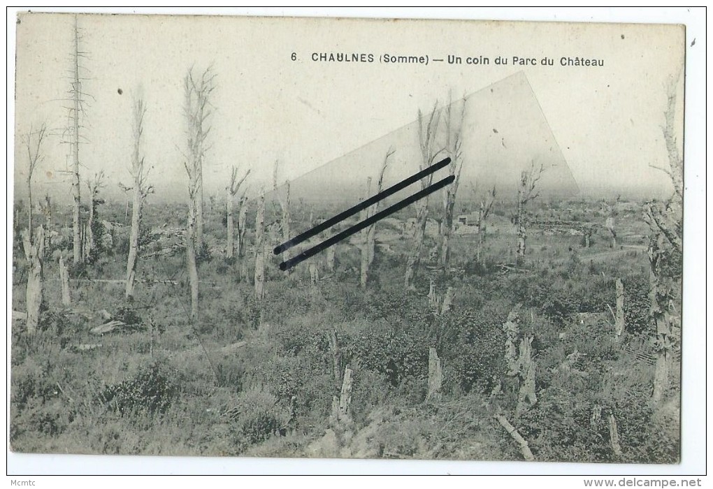 CPA- Chaulnes -  Un Coin Du Parc Du Château - Chaulnes