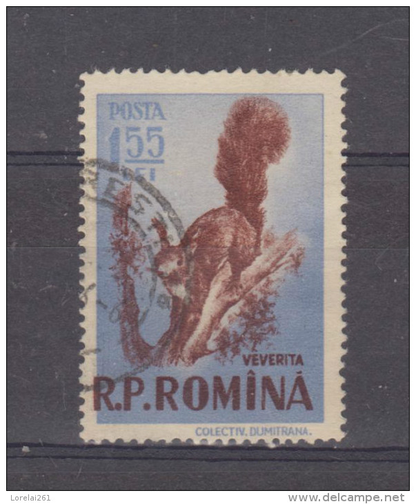 1956, GIBIERS,  YV No 1445 Et MI No1572  Ecureuil / Sciurus Vulgaris - Gebraucht