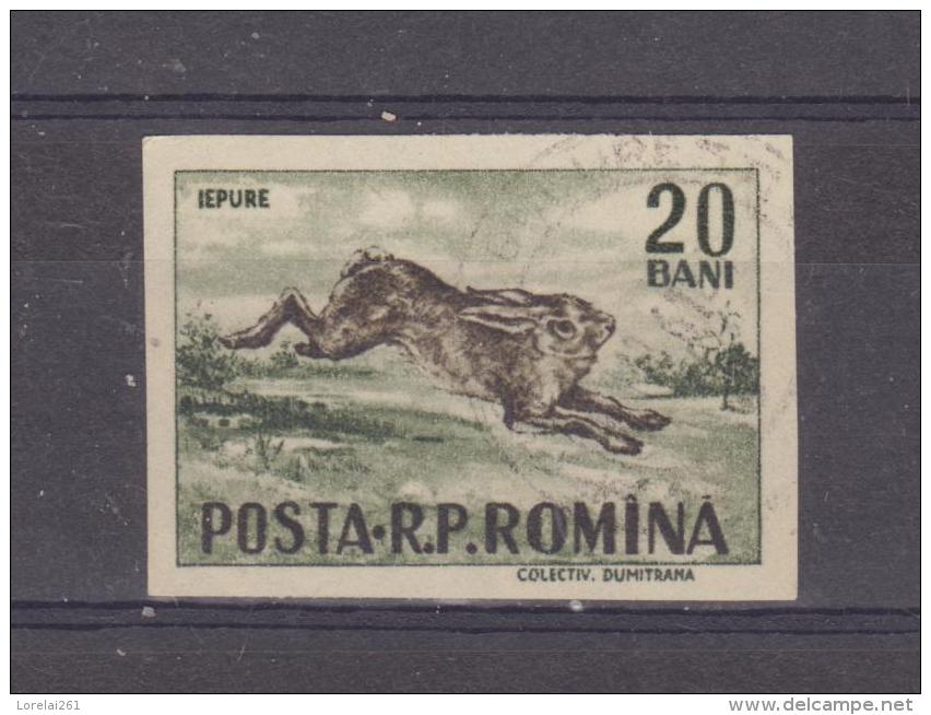 1956, GIBIERS,  YV No 1488  Et MI No 1614  Lievre / Lepus Europaeus - Gebraucht