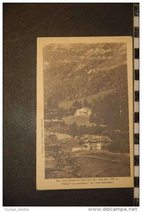 CP, 01, Les Hotels Du PAILLY Sur GEX Villas La Gentiane Et Les Narcisses N°511 Edition L Michaux Bellegarde - Gex