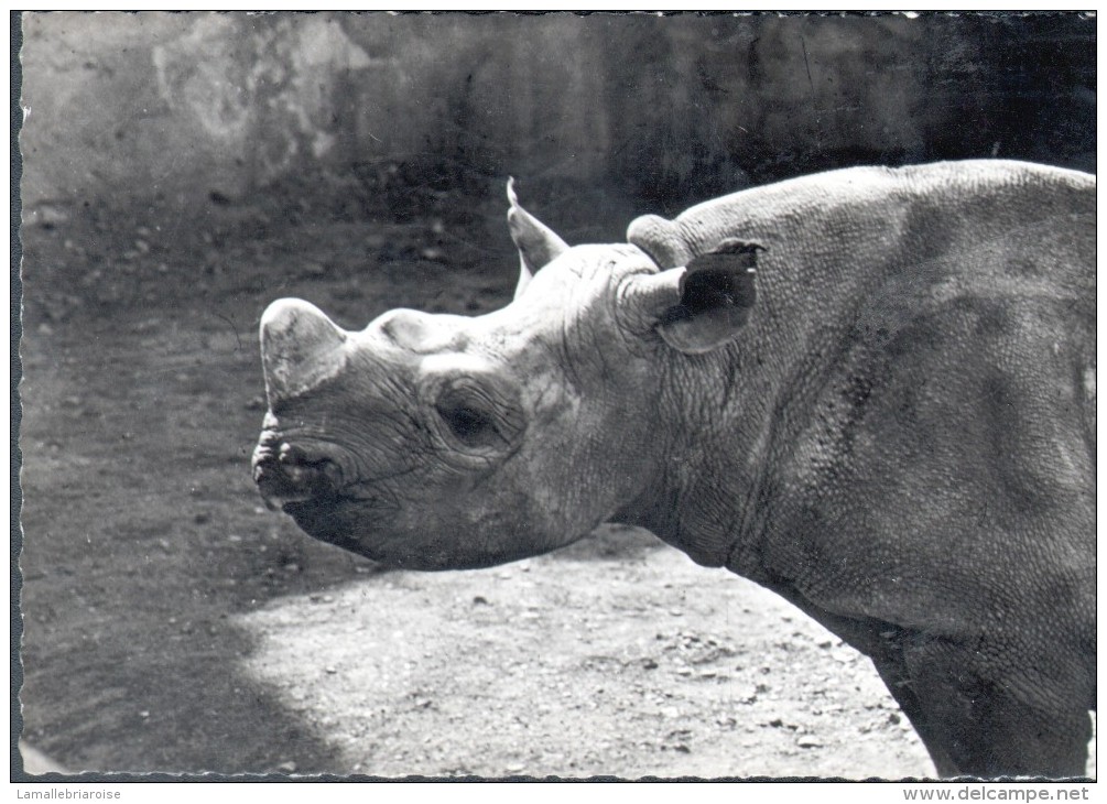 PUBLICITE GENOLINE - RHINOCEROS - Rhinocéros