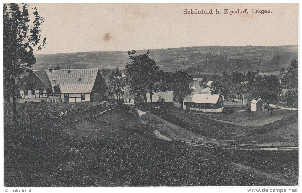 AK Schönfeld Bei Kipsdorf Bärenfels Seyde Schellerhau Hermsdorf Ammelsdorf Schmiedeberg Schellerhau Altenberg Reichenau - Kipsdorf