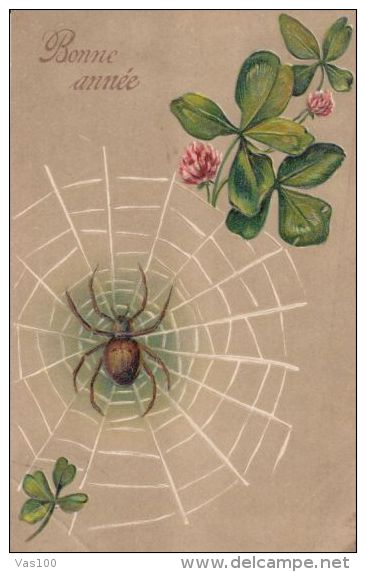 CPA SPIDER, WEB, CLOVER, EMBOISED - Insects