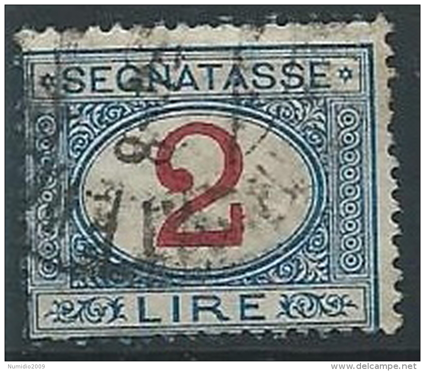 1903 REGNO USATO SEGNATASSE 2 LIRE - ED593 - Taxe