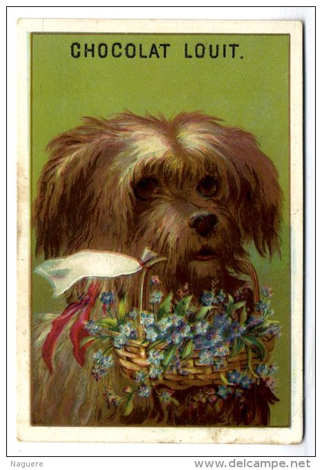 CHIEN AVEC BOUQUET DE FLEURS   -  CHOCOLAT LOUIT - Louit