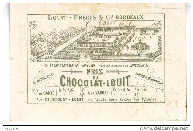 CHIEN AVEC BOUQUET DE FLEURS   -  CHOCOLAT LOUIT - Louit