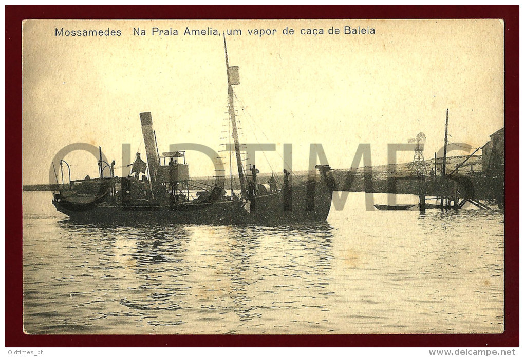 ANGOLA - MOSSAMEDES - NA PRAIA AMELIA UM VAPOR DE CAÇA DE BALEIA - 1910 PC - Angola