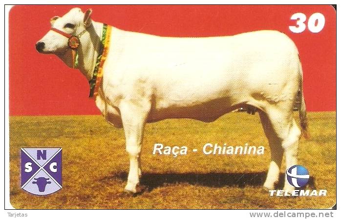 TARJETA DE BRASIL DE UNA VACA (COW-VACA) (10-10) - Mucche