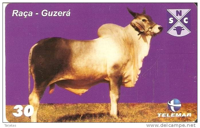 TARJETA DE BRASIL DE UNA VACA (COW-VACA) (9-10) - Cows