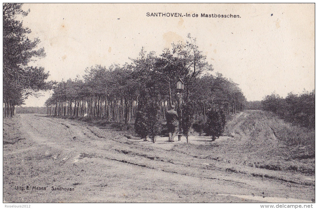 SANTHOVEN / ZANDHOVEN : In De Mastebosschen - Zandhoven